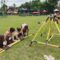 Laskar Prapanca (9)